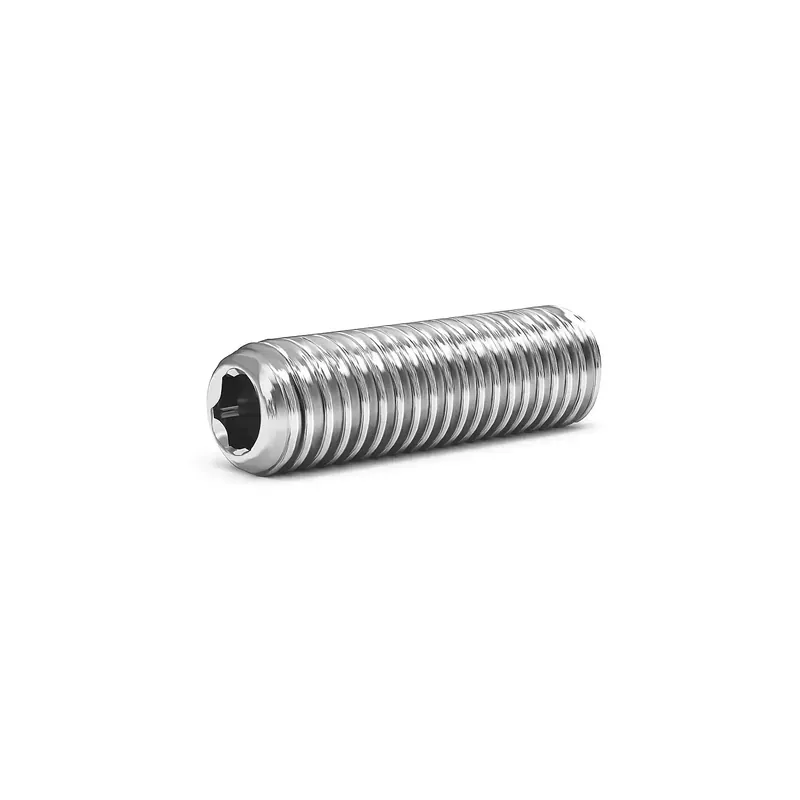 Vis sans tête à six pans creux - STHC - DIN 916 - M 16 x 50 - Bout cuvette - Inox A2 Promotion