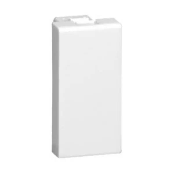 Offre Limitée Obturateur Mosaic 1 module - blanc - LEGRAND