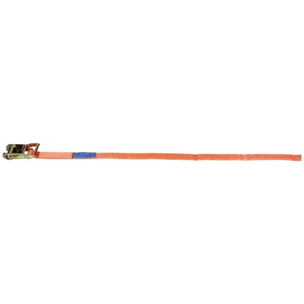 1 sangle d’arrimage avec cliquet, Longueur 6m Commander Maintenant