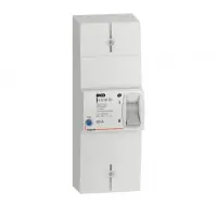 Disjoncteur de branchement BACO bipolaire différentiel 500mA instantané 60A non réglable - LEGRAND - 401051 Nouvel Arrivage