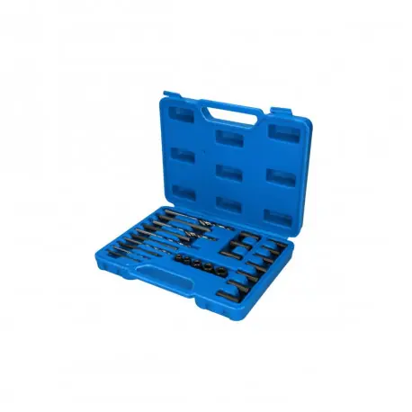 Livraison Express Jeu d‘extracteurs de vis BRILLIANT TOOLS - 25pcs - BT541900