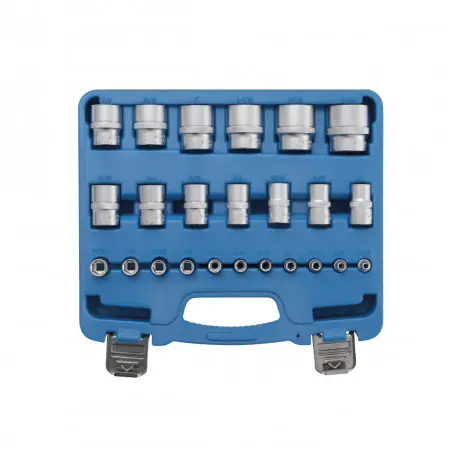 Quantité Limitée Jeu de douilles BGS TECHNIC - six pans - 6,3mm (1/4") - 12,5mm (1/2") - en pouce - 24 pcs - 2246
