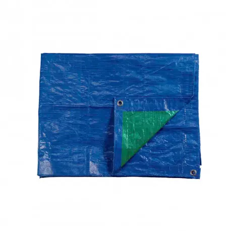 Dernier Modèle Bâche de protection EDM Bleu/Vert - Œillets métal - 90 g/m2 - 5 x 8 m